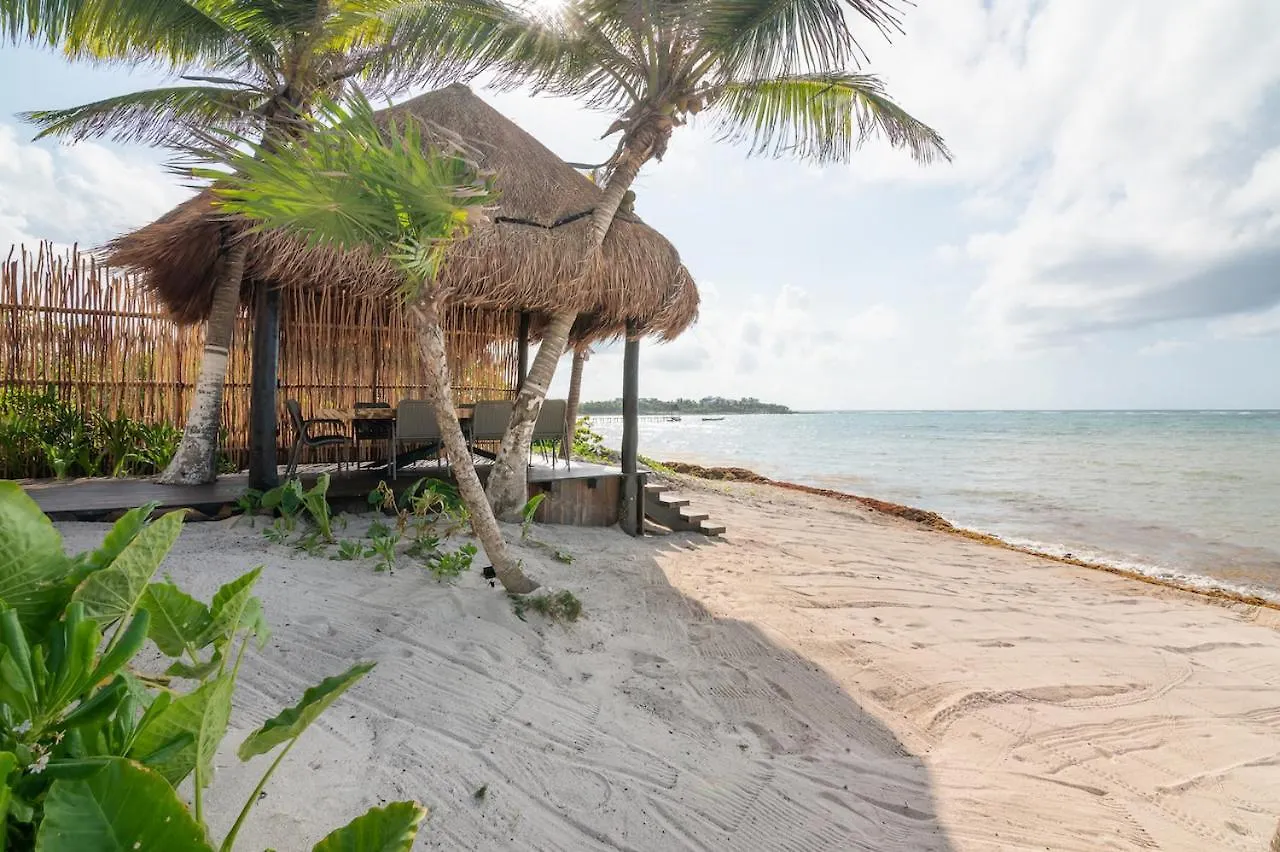 Villa Tulumar Beachfront Luxury Villa- Full Service トゥルム